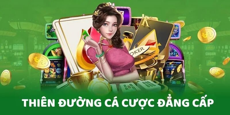 Bongvip là thiên đường giải trí trực tuyến