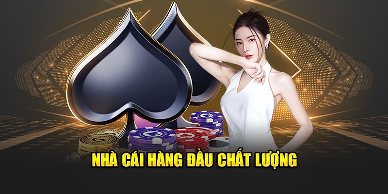 Bongvip không ngừng mở rộng và hoàn thiện dịch vụ