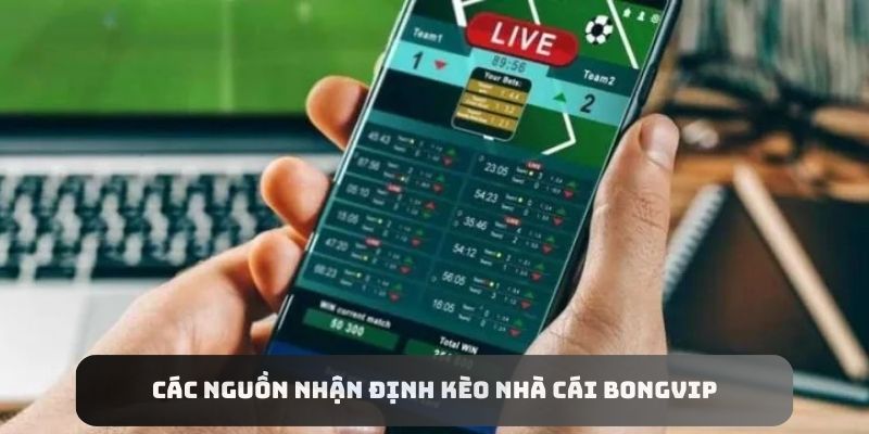 Những nguồn nhận định kèo nhà cái Bongvip đáng tham khảo