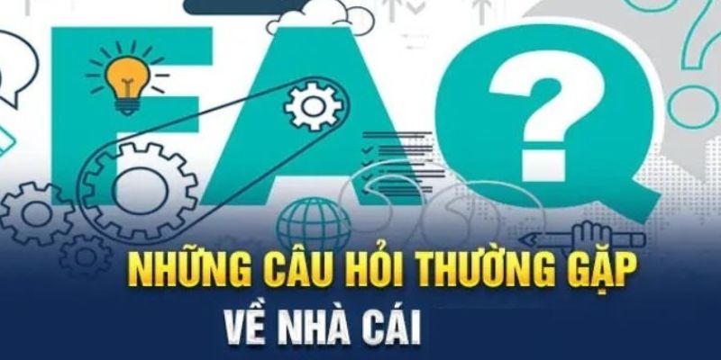 Mục đích quan trọng câu hỏi thường gặp Bongvip 