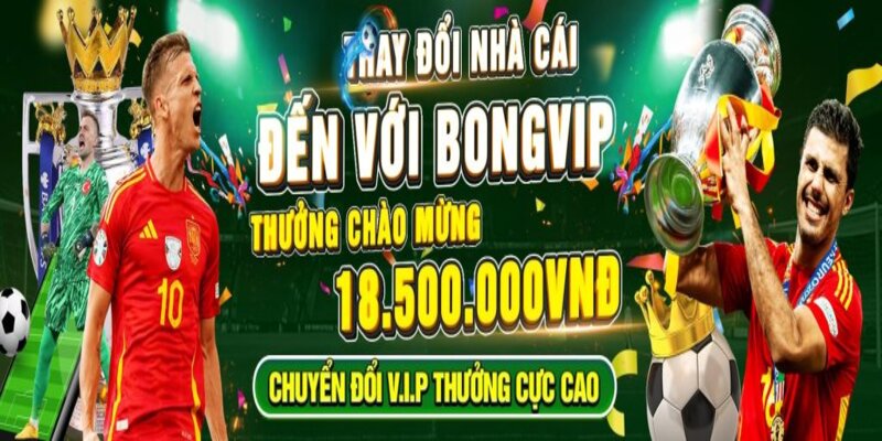 Mức ưu đãi siêu hấp dẫn cho đại lý Bongvip