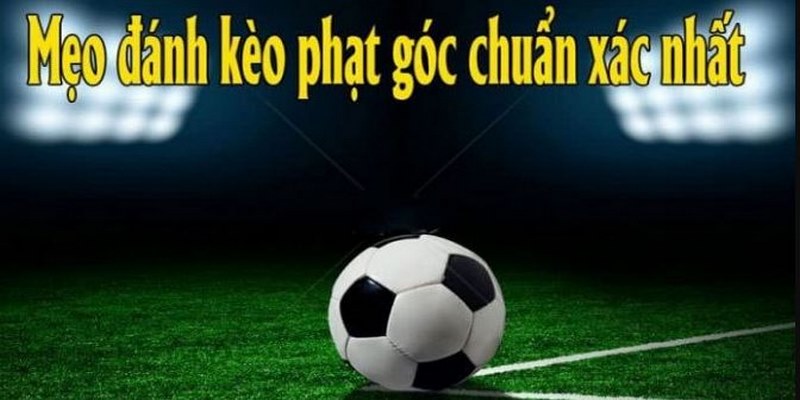 Tuân thủ theo các nguyên tắc cơ bản để trải nghiệm hiệu quả