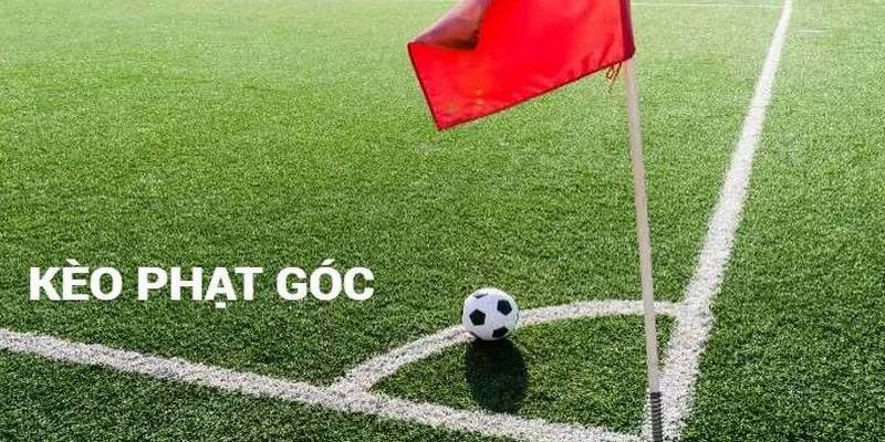 Cược chấp tỷ lệ odds hấp dẫn trong đầu tư kèo phạt gócCược chấp tỷ lệ odds hấp dẫn trong đầu tư kèo phạt góc